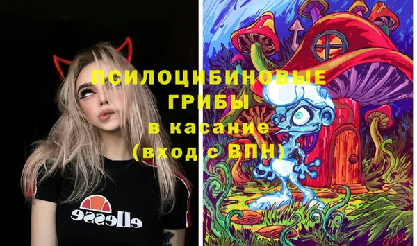гашик Волоколамск